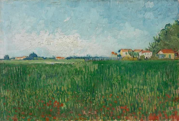 Feld mit Mohnblumen